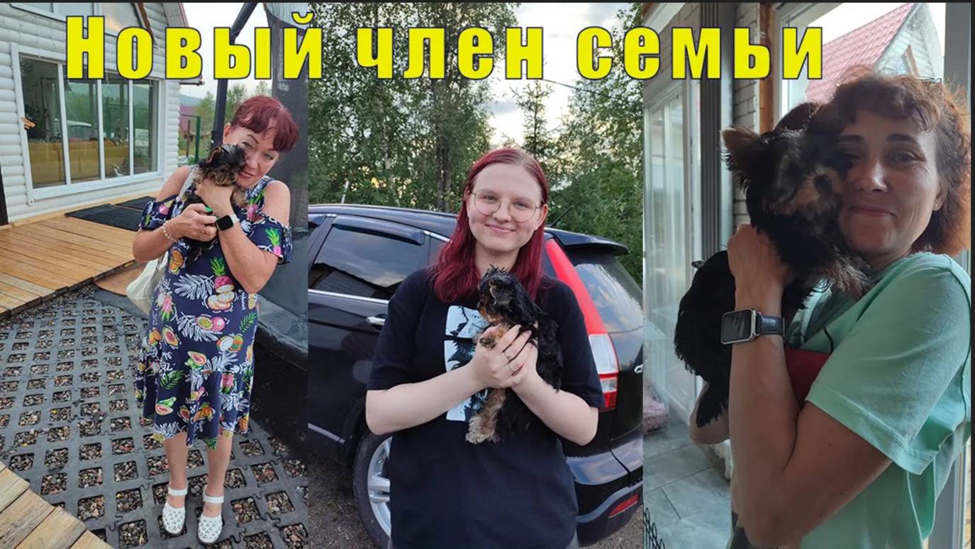 ПТИЦ ПЕРЕЕХАЛ/ АЙДА ЗА НОВОЙ СОБАКОЙ /28 и 29 июля 2025 смотреть онлайн