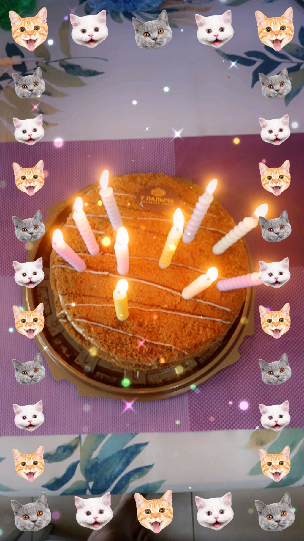 раздаю подписку