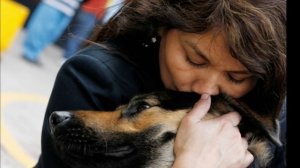 Secret Garden - Song From A Secret Garden .