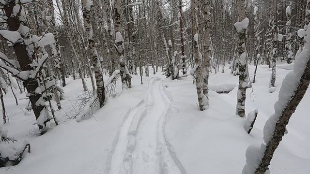 СНЕГОХОДЫ ХОМА 600SWT ,Yamaha Viking.ПРОБИВАЕМ ПУТИКИ.ТОНЕМ В КАНАВАХ.Январь 2025г.