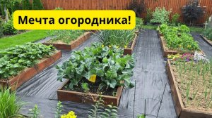 Высокие грядки своими руками — урожай выше, работать проще!