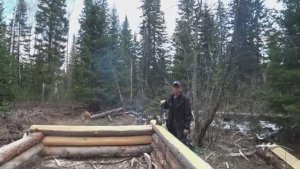 СРУБ СВОИМИ РУКАМИ ИЗ КРУГЛОГО ЛЕСА. ИЗБА ВЕРХОВАЯ В ОДИНОЧКУ. ЖИЗНЬ В ТАЙГЕ