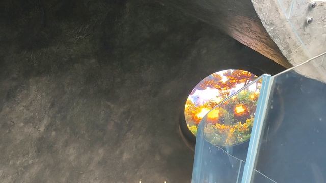 Яркая новая локация в парке облаков Кроличья нора. смотреть онлайн