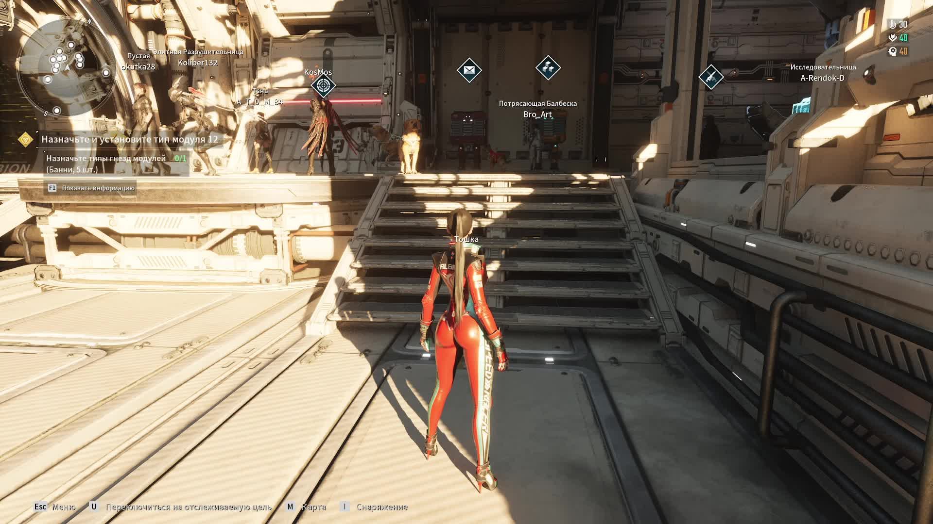 The First Descendant