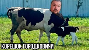 Путешествие в Спасск-Рязанский! Серия 1. Апартаменты КорешОК в деревне Городковичи