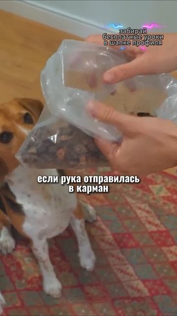 🎁Бесплатные уроки. Жми сюда! смотреть онлайн