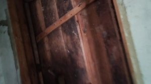 После завтрака 10.07.2025