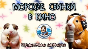 Морские свинки в кино