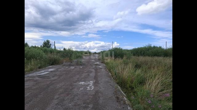 9561559 смотреть онлайн
