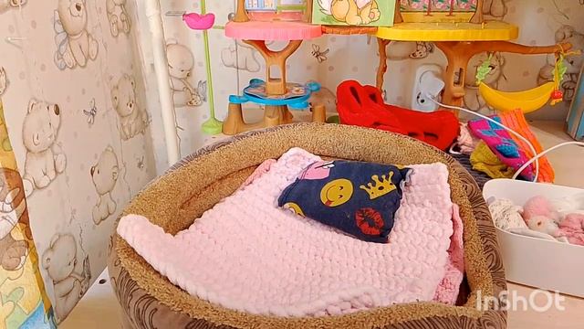 утро с снежкой уборка у Снежки в комнате новый герой на канале !!!