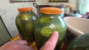 Лучший рецепт квашеных огурцов