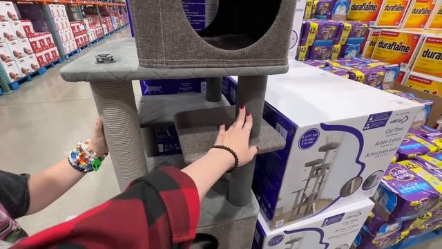 Закупка в COSTCO Костко цены США