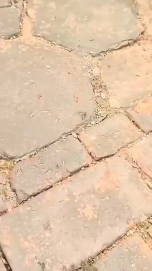 приключения 🐱 🐱 Кота