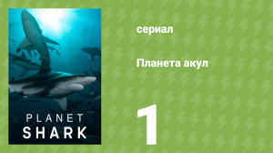 Планета акул 1 серия «Совершенство в мире хищников» (документальный сериал, 2022)