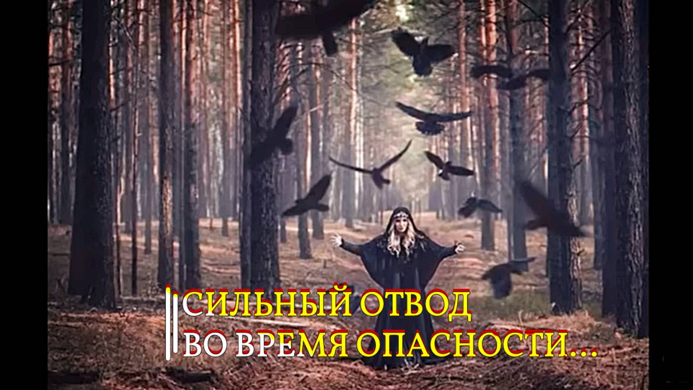 СИЛЬНЫЙ ОТВОД…ВО ВРЕМЯ ОПАСНОСТИ…ДЛЯ ВСЕХ… смотреть онлайн
