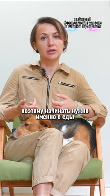 🎁Бесплатные уроки. Жми сюда! смотреть онлайн