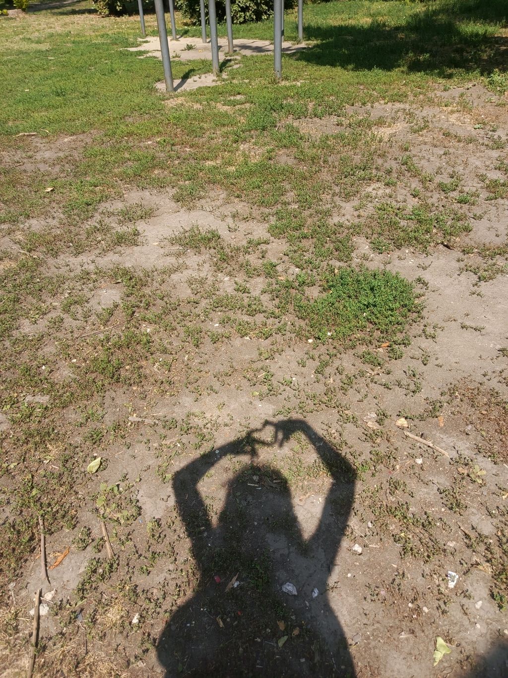 DASHA BUNNY 🐇 смотреть онлайн