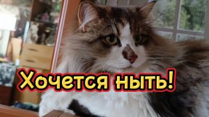 ПРИКОЛЬНАЯ ОЗВУЧКА.