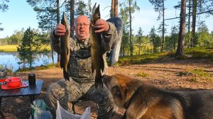 Рыбалка в Карелии. Щука и окунь на спиннинг на красивейшем озере.