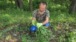 Настоящая хуторская жизнь в лесу. Гадюка в доме. Стены из дуба и баня с крышей