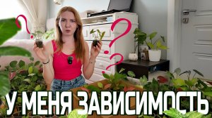 Хочу вам признаться🤪  У меня  зависимость!!!😩😩😩