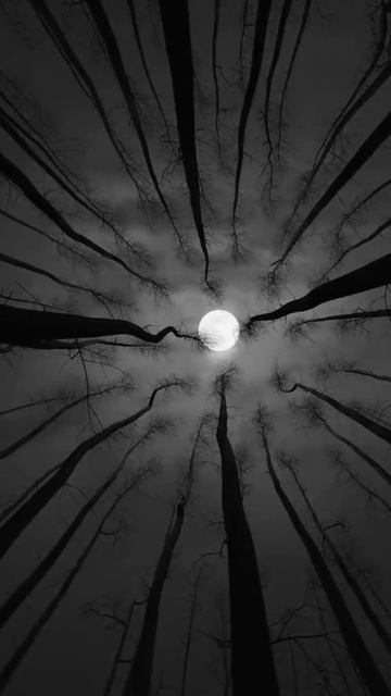 Досмотри до конца 😊 смотреть онлайн