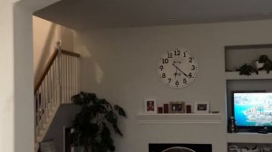 США VLOG Выгуливаю кота