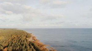 КОМЕДИЯ РОК   Счастье!!!)))