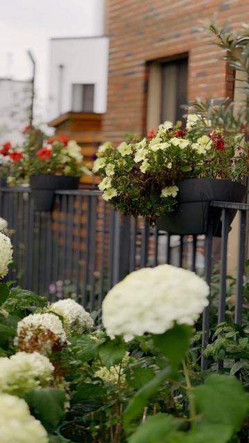 А ВЫ ЛЮБИТЕ ДОЖДЬ? ☔️