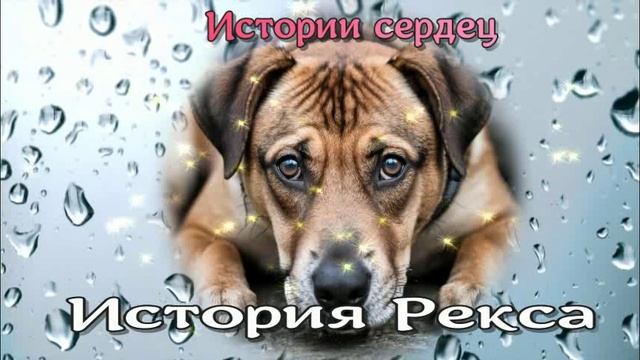 История Рекса / Аудиокниги смотреть онлайн