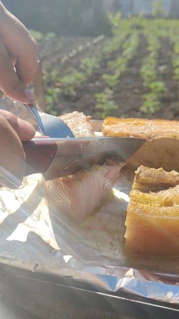 щепа Дымовой