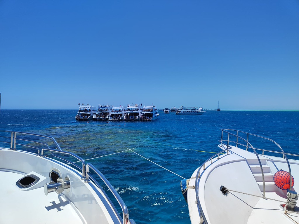 иду гулять💚