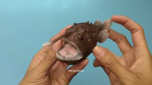 Рыба удильщик акулы детям