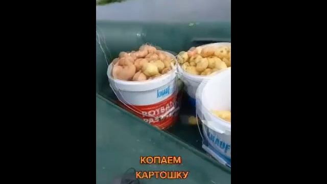 КОМЕДИЯ РОК Всё достало!(( смотреть онлайн