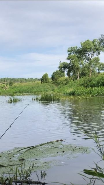 Мотивация дня!