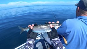 Летняя рыбалка на Байкале.