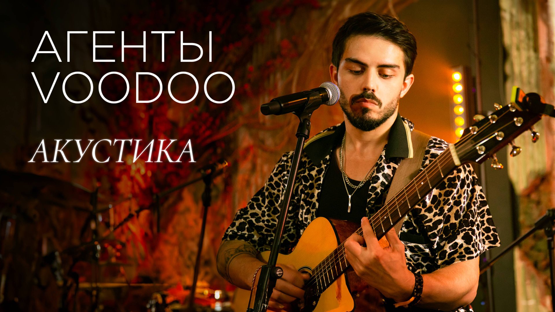 АГЕНТЫ VOODOO АКУСТИКА смотреть онлайн