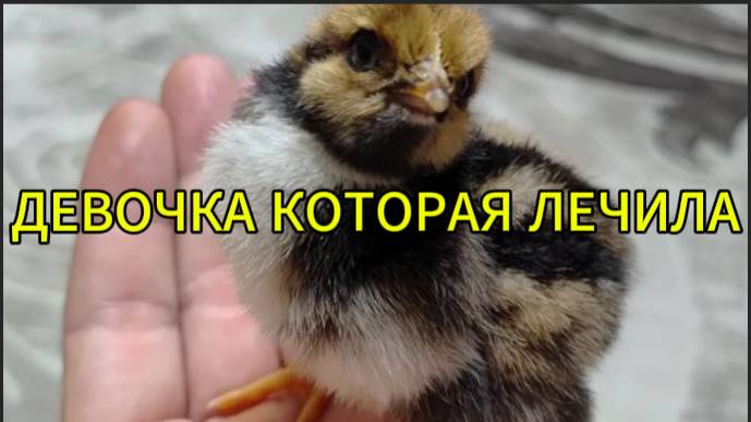 Девочка которая лечила смотреть онлайн