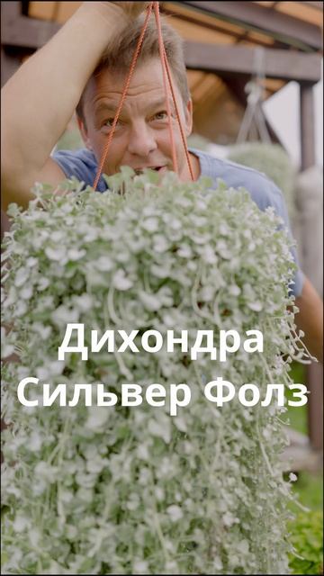 сад огород цветник