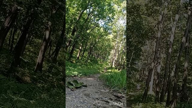 жизненный путь