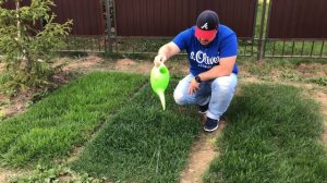 Полив газона: Как поливать и нужен ли автополив? Узнай тут!