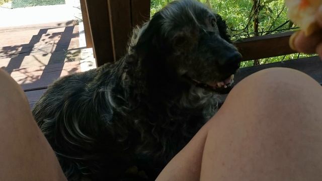 СОЧИ ГОРНОЕ ЛОО ДЕНЬ 13.08.2025 смотреть онлайн