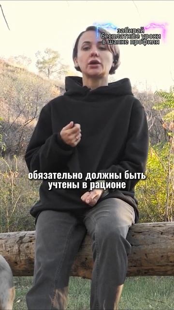 🎁Бесплатные уроки. Жми сюда! смотреть онлайн