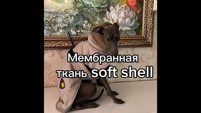 Зимняя попона для левретки Шерпа из мембранной ткани Soft Shell