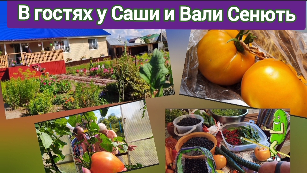 В гостях у Саши и Вали Сенють..как же у них красиво... смотреть онлайн