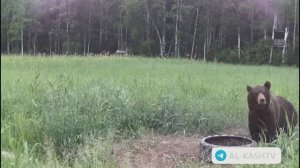 Помощник в охот угодьях