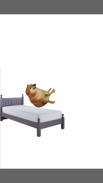 Как работает амнезия?