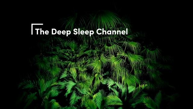 Meditation & Sleep Music