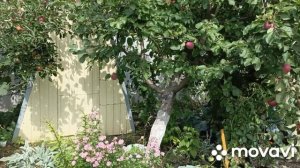 13 июля обычный день