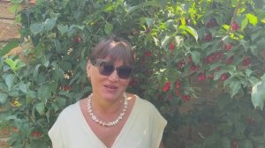 Наш крымский участок в августе Часть 2